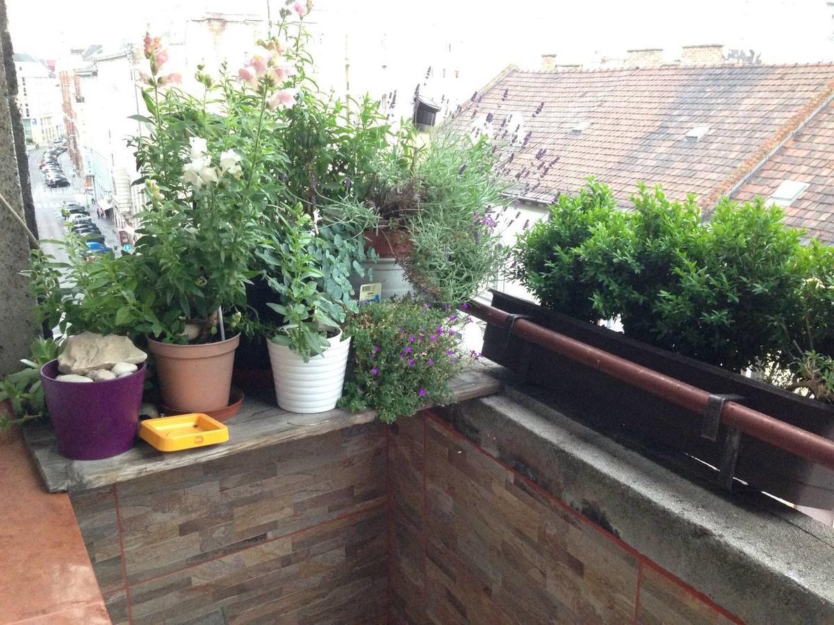 Lonyay Street Apartment Budapest Eksteriør billede